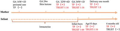 Missed opportunities for screening congenital syphilis early during pregnancy: A case report and brief literature review